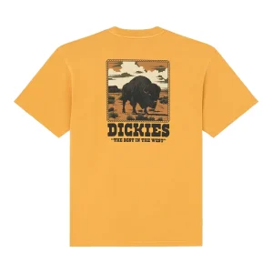 Darrtown T-shirt - Sunflower